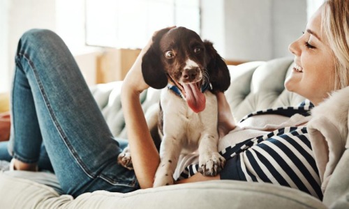 We welcome your pet family a woman lying on a couch with a dog